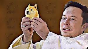 Doge Dogecoin Elon Musk Nft In 2021 Elon Musk Doge Musk