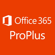 It means you don't need to be connected to the internet for using its features. Buy Microsoft Office 365 Proplus Permanent Activation