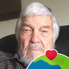 Basenji Dog Adoption in Phoenix Area