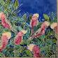 Open for Private Group Booking = Galahs in the Gum event image