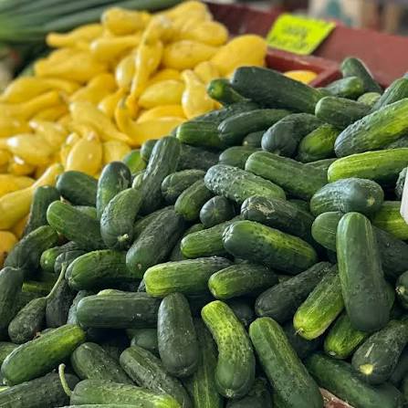 Cucumber