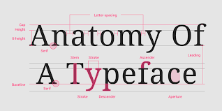When designers include typography in graphic design and represent it in a professionaly way, it could change the way people react to a design. Understanding Typography Material Design