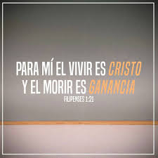 Palabras D Dios Para Jovenes Foto Palabras De Sabiduria Frases Inspiradoras Palabra De Dios Biblia