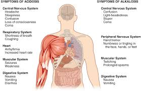 What causes it, the symptoms, and how you can restore your ph balance. 26 5 Disorders Of Acid Base Balance Anatomy Physiology