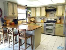 Olive This Kitchen Better After Green Kitchen Cabinets Kitchen Style Budget Kitchen Makeover