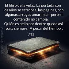 Alcanza Tus Suenos En 2021 Libro De La Vida Frases Bonitas Suenos