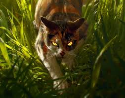 Warrior cats series warrior cats fan art warrior cats books warrior cat drawings warrior drawing warrior cats clans animals and pets cute animals love warriors. Mapleshade S Vengence Fantasy Abstract Background Wallpapers On Desktop Nexus Image 2548313