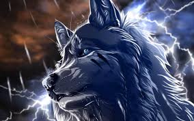 See related links to what you are looking for. Anime Black Wolf Wallpapers Wallpaper Cave