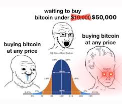 Martin, memes, and the wolf of wall street: R Bitcoin Love A Good Bitcoin Meme Digitalmoney
