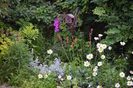 Large blocks of color add impact to a garden, and the best way to achieve that is with long blooming perennials. Our Favorite Shade Garden Plants For Vermont Di Stefano Landscaping