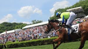 This popular annual event unites horse racing and socializing at one of nashville's best parks. Steeplechase Nashville S Grand Tradition Returns June 26 Nashville Music Guide