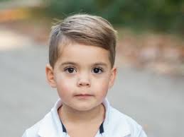 Family says dogs have attacked before