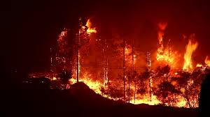 Prevención de incendios, con el objetivo de divulgar y visualizar los incendios para su prevención. Mas De 520 000 Hectareas Se Han Perdido Por Incendios En Ee Uu