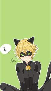 Pin By Leandra Ains On Miraculous Ladybug Miraculous Ladybug Chat Noir Ladybug