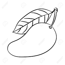 Hand Drawn Sketch Of Mango Isolated Black And White Cartoon Black And White Cartoon How To Draw Hands Line Art Drawings Slice flesh without breaking the skin.
