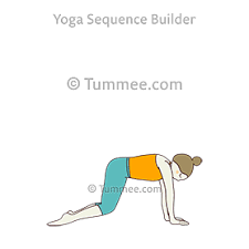 Hovering Cat Pose Yoga Hovering Marjaryasana Yoga Sequences Benefits Variations And Sanskrit Pronunciation Tummee Com
