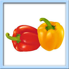 Larisa Prohorenko Dessin Fruits Fruits Et Legumes Fruits