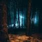 Full Moon Hike and Campfire event image