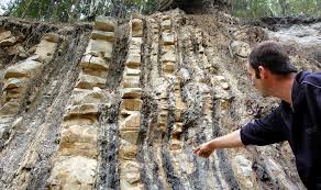 Top 15 locuri de vizitat in romania. Obiective Turistice In Buzau 10 Atractii Ale Judetului De Vazut Oricand