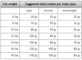 veracious average cat weight chart average cat weight by age