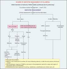 Image result for Mild PIH Management