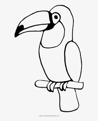 Supercoloring.com is a super fun for all ages: Toucan Coloring Page Tucan Para Colorear Free Transparent Png Download Pngkey