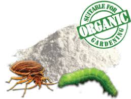 I bought food grade de. Garden Pest Control