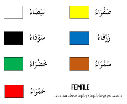 Color in Arabic for Male and Female