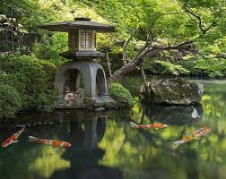 Pin On Gardens Japanese Gardens