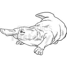 Black And White Realistic Platypus Vector Clipart Vector Clipart Clip Art Animal Sketches Rosary black and white clipart. white realistic platypus vector clipart