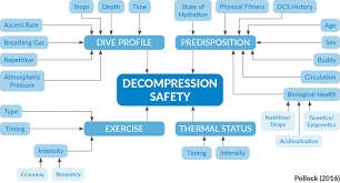 Image result for Decompression Sickness