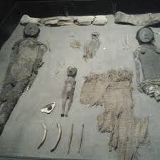 Visit museo momias chinchorro in chile and tour many such museums at inspirock. Momias Chinchorro Mystery Of History Ancient History North And South America