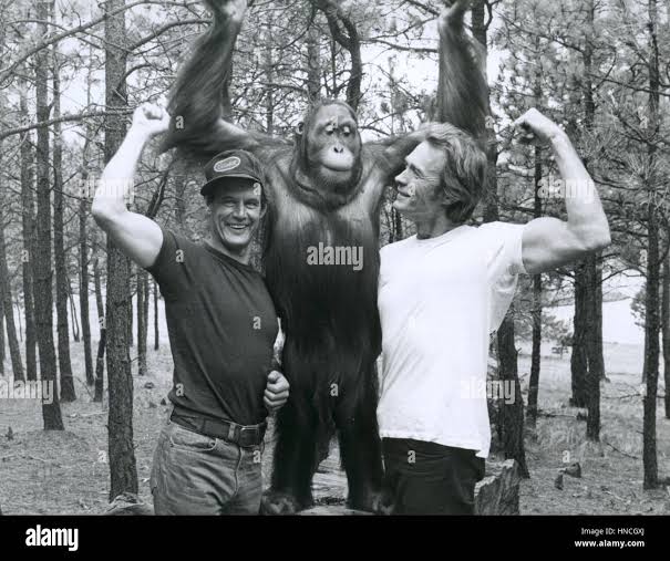 Jan. 1, 1978 - ......Every Which Way But Loose, Geoffrey Lewis, Clint  Eastwood..Film and Television. (Credit Image: © Collection/Entertainment  Pictures via ZUMA Press Stock Photo - Alamy