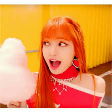 She is a member of the south . Lisa Blackpink