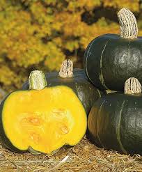 Butternut squash is a sweet tasting squash that can be enjoyed in so many ways. Growing Buttercup Squash How To Sow Care For Harvest