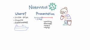 Smaller meals and a bland diet might help limit vomiting. Norovirus Epidemiology Clinical Presentation And Prevention Youtube