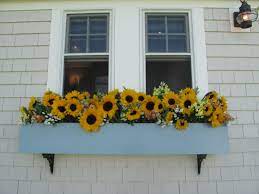 July Flowers In A Window Box At Sakonnet Vineyards In Tiverton Ri Sunflowers Www Robinhollowfarm Com Flower Boxes July Flowers Window Box