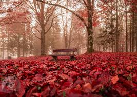 35 Landscape Pictures From Across Slovenia By Klara Kulovec Mit Bildern Bohinj