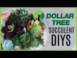 Make this fun diy ruler succulent planter! Dollar Tree Diy Dollar Tree Decor Barrels Diy Diy Succulent Terrarium