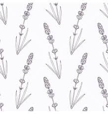 Hand Drawn Lavender Branch And Flowers Outline Vector Image On Vectorstock How To Draw Hands Flower Outline Lavender Tattoo