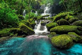 Below is a list of 15 amazing waterfalls in brazil. Hd Wallpaper Forest River Waterfall Jungle Beautiful Tropical Wallpaper Flare