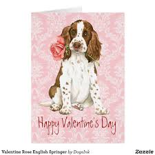 Black And White Springer Spaniel Clipart Valentine Rose English Springer Holiday Card Zazzle Com Valentines Roses English Springer Springer