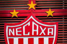 Rayos del necaxa 16oz frosted glass beer mug. Club De Futbol Mexicano Necaxa Vendera El 1 De Sus Acciones Como Nft En Un Movimiento Inedito Aunque La Federacion Y La Liga Local Aun No Avalan La Iniciativa Criptotendencias