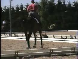 This dressage saddle has a design developed in consultation with world dressage champion isabell werth. Bill Woods Dressage Video Aachen 95 Schooling Isabel Part 1 Mpg Youtube