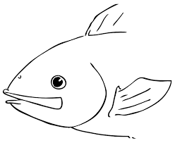 Download Clearwater S Key To Common Hudson River Fishes