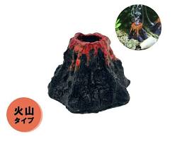 淡水魚グッズを使ったインテリアの画像