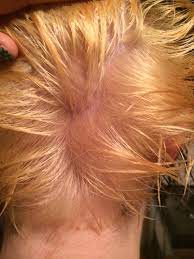 If your hair isn't light enough, you may need to bleach again. First Time Bleach Dyehard