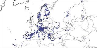 Image result for Scrobipalpula diffluella