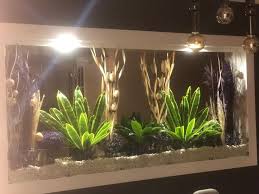 Sword Adli Kullanicinin Cicek Peyzaj Flower Landscape Panosundaki Pin 2020 Peyzaj Cicek