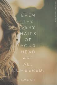 Luke 12 7 Kjv But Even The Very Hairs Of Your Head Are All Numbered Fear Not Therefore Ye Are Of Mor Spiritual Inspiration Wonder Quotes How He Loves Us